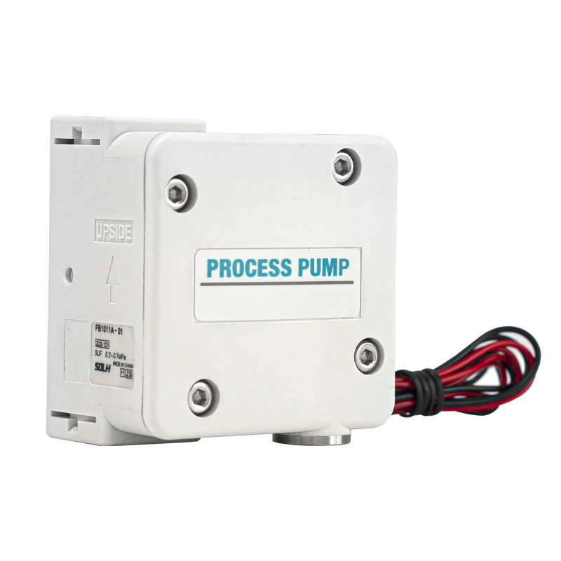 Pompa di processo PB1011